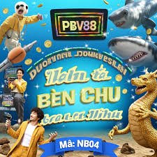 bo555